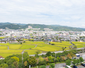 地域連携クリティカルパス