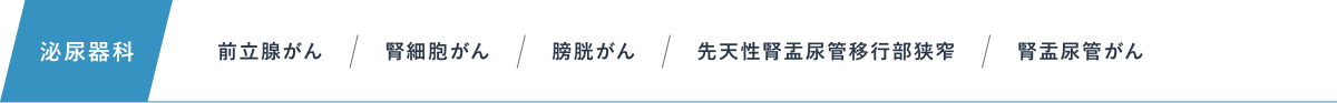 泌尿器科：前立腺がん、腎細胞がん、膀胱がん、先天性腎盂尿管移行部狭窄、腎盂尿管がん