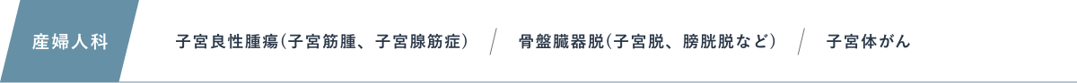 産婦人科：子宮良性腫瘍(子宮筋腫、子宮腺筋症)、骨盤臓器脱(子宮脱、膀胱脱など)、子宮体がん
