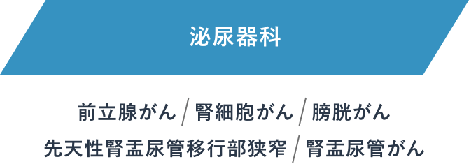 泌尿器科：前立腺がん、腎細胞がん、膀胱がん、先天性腎盂尿管移行部狭窄、腎盂尿管がん