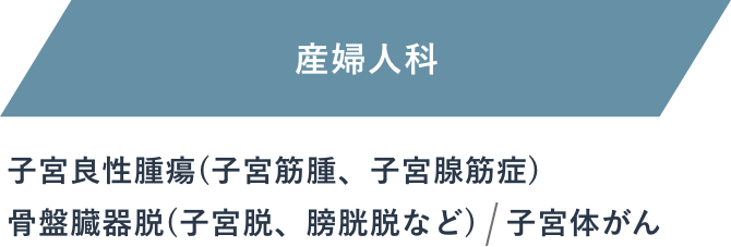 産婦人科：子宮良性腫瘍(子宮筋腫、子宮腺筋症)、骨盤臓器脱(子宮脱、膀胱脱など)、子宮体がん